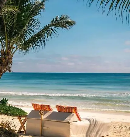 Beachfront Suites In Tulum Beach